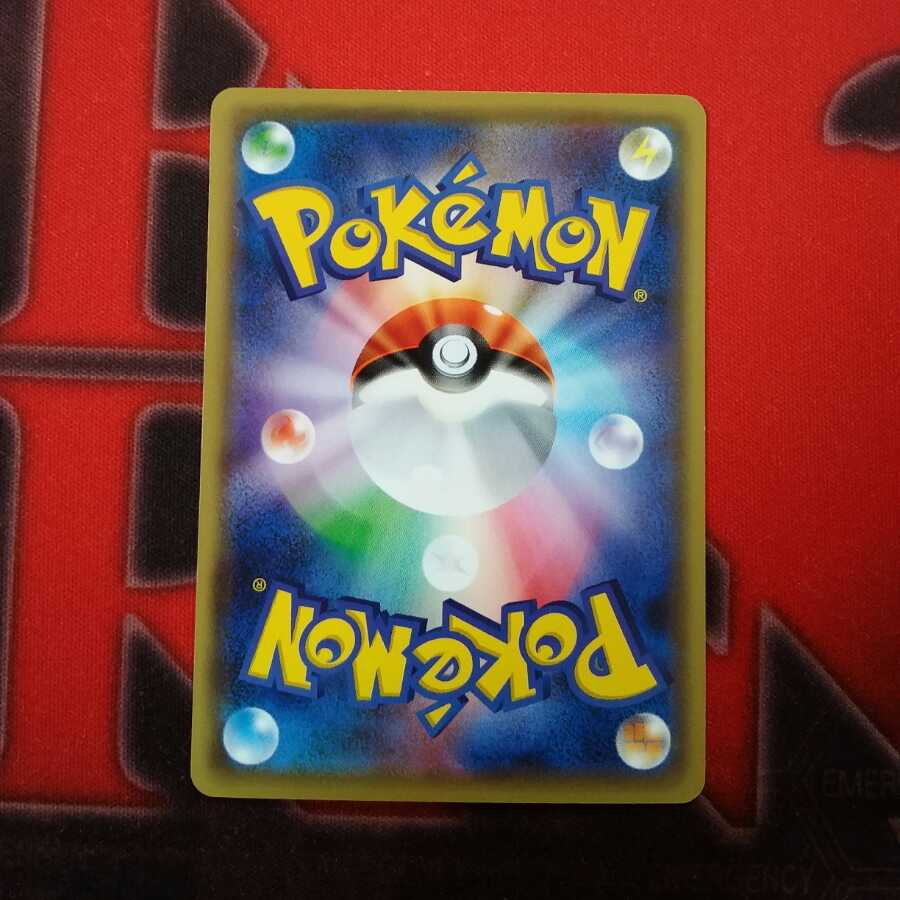 Lord and Maiko Pikachu