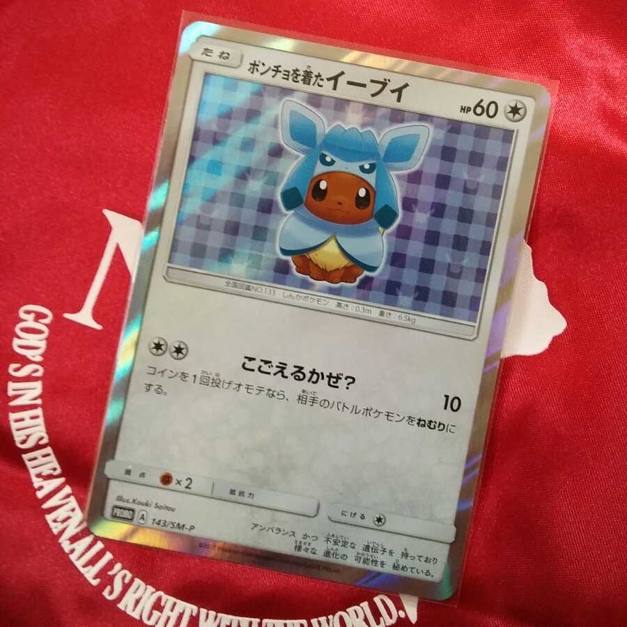 ポンチョを着たイーブイ