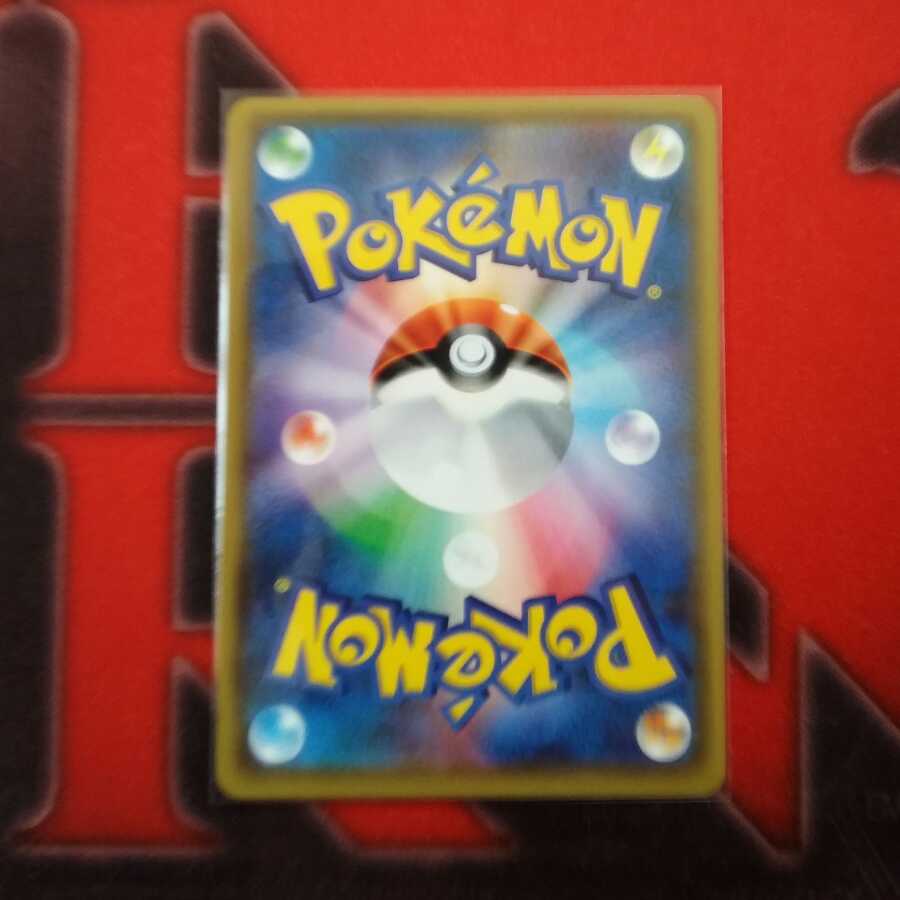 ポンチョを着たイーブイ