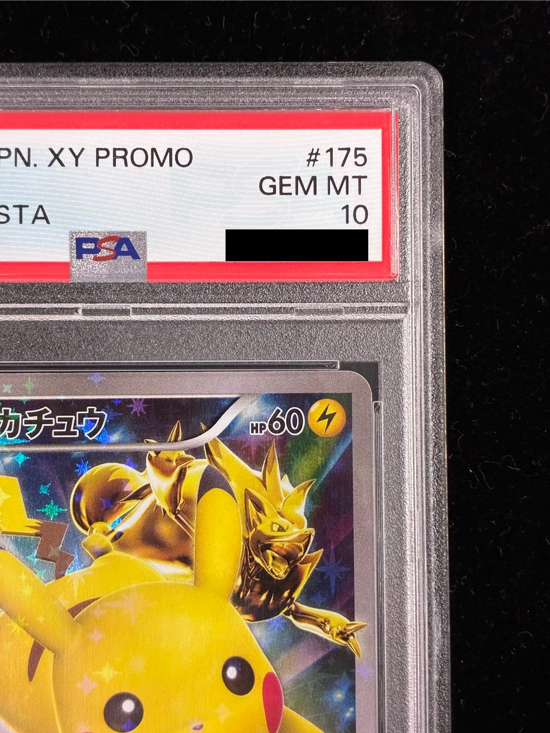 PSA10鑑定済〕ピカチュウ(バトルフェスタ2015)【P】{175/XY-P} 1枚の