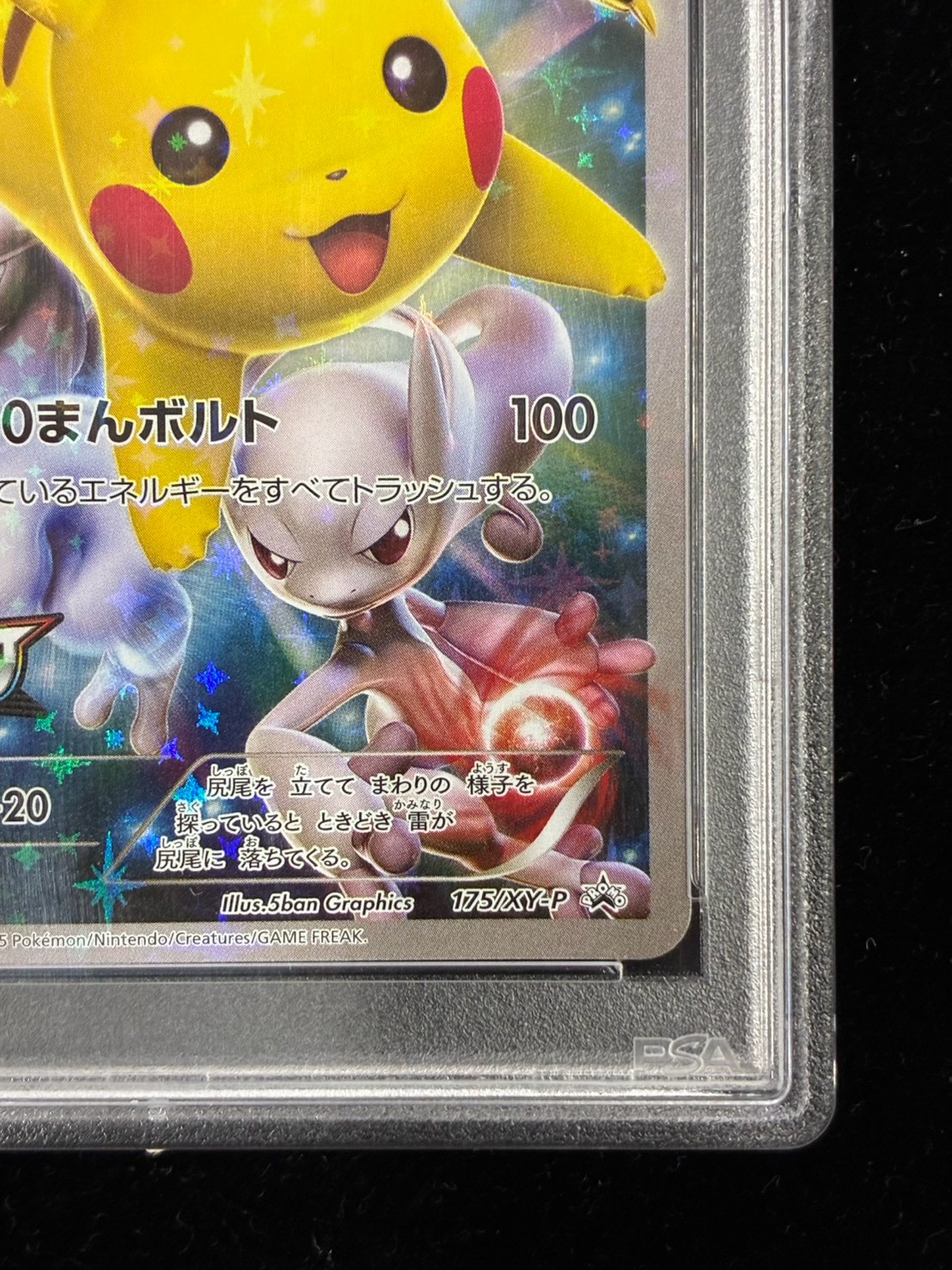 PSA10鑑定済〕ピカチュウ(バトルフェスタ2015)【P】{175/XY-P} 1枚の