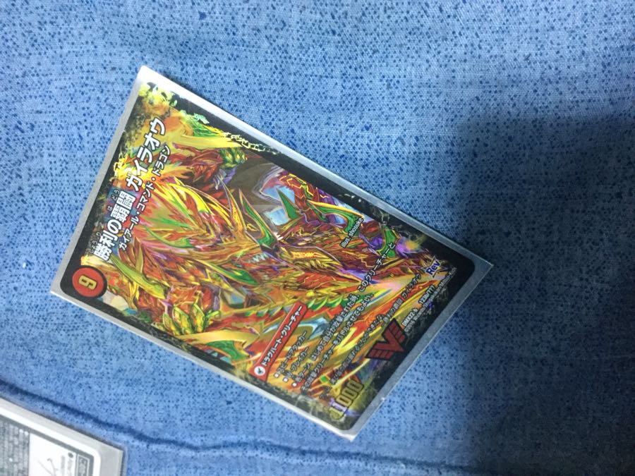 ガイオウバーン