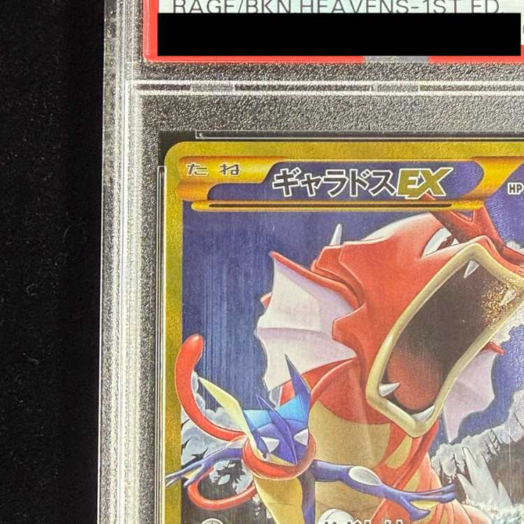 [PSA10] GyaradosEX UR 089/080 1枚