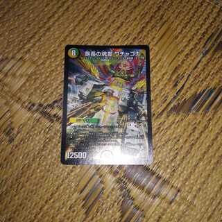 族長の魂友　ワチャゴナ