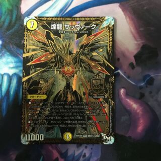 煌龍 サッヴァーク