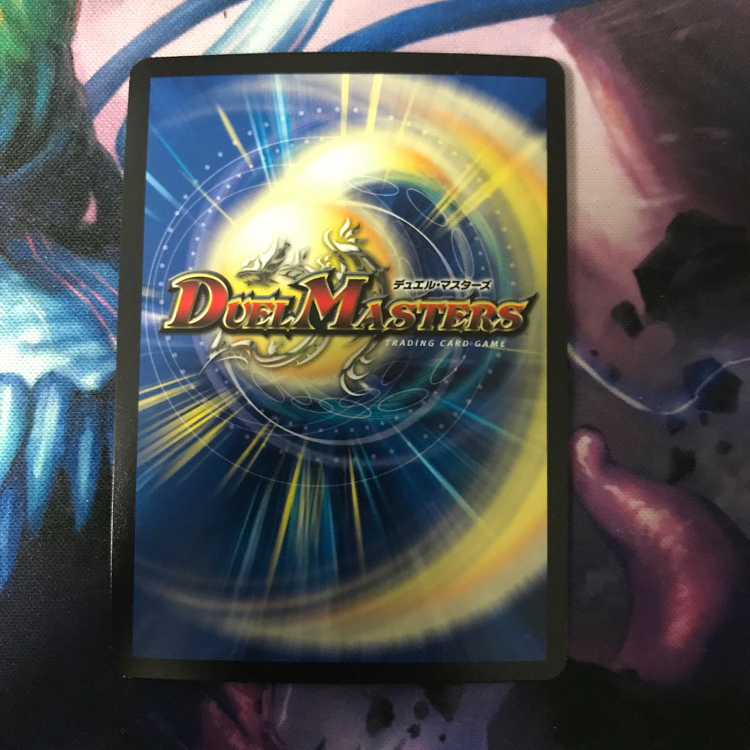 煌龍 サッヴァーク