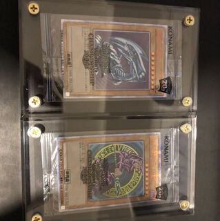 遊戯王 wcs2018 青眼の白龍 ブラックマジシャン 20thシークレット