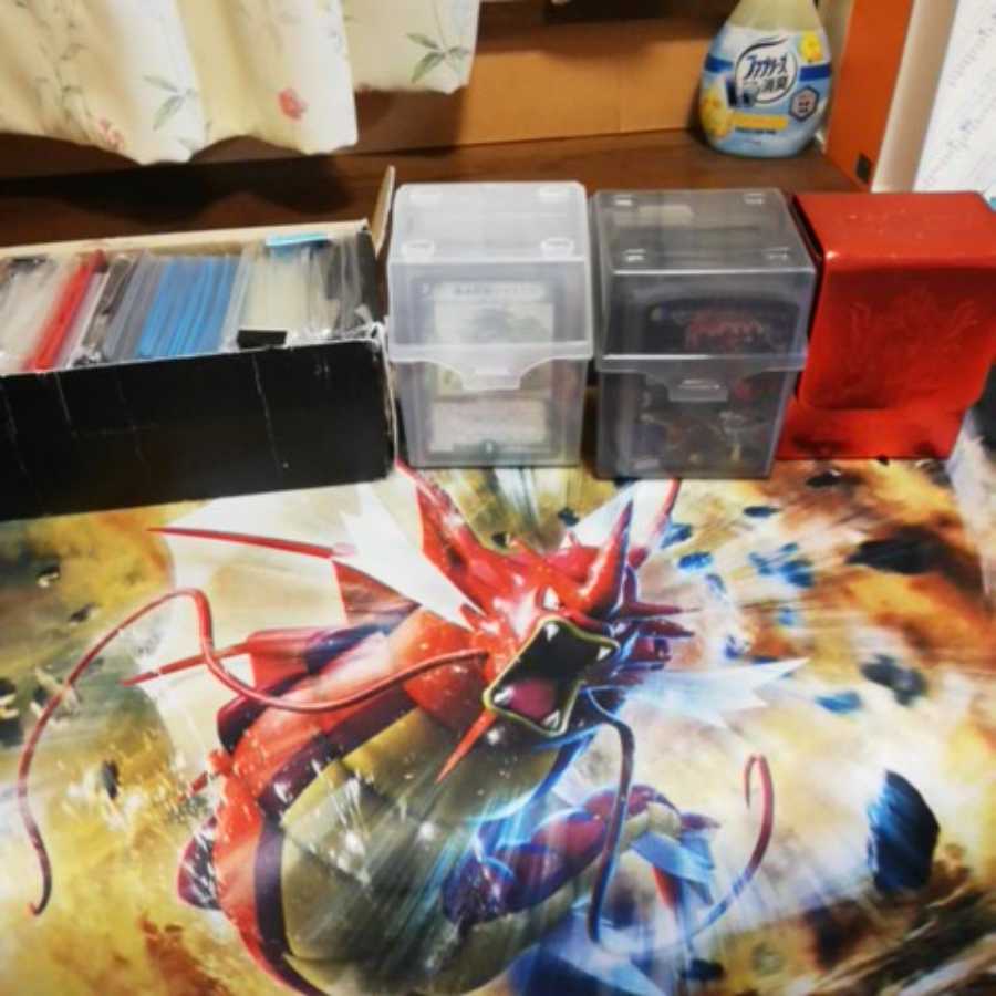 引退品 赤緑モルネク