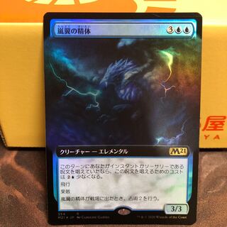 【専用出品】嵐翼の精体　拡張foil