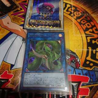 捕食植物ヴェルテ・アナコンダ UR 一枚