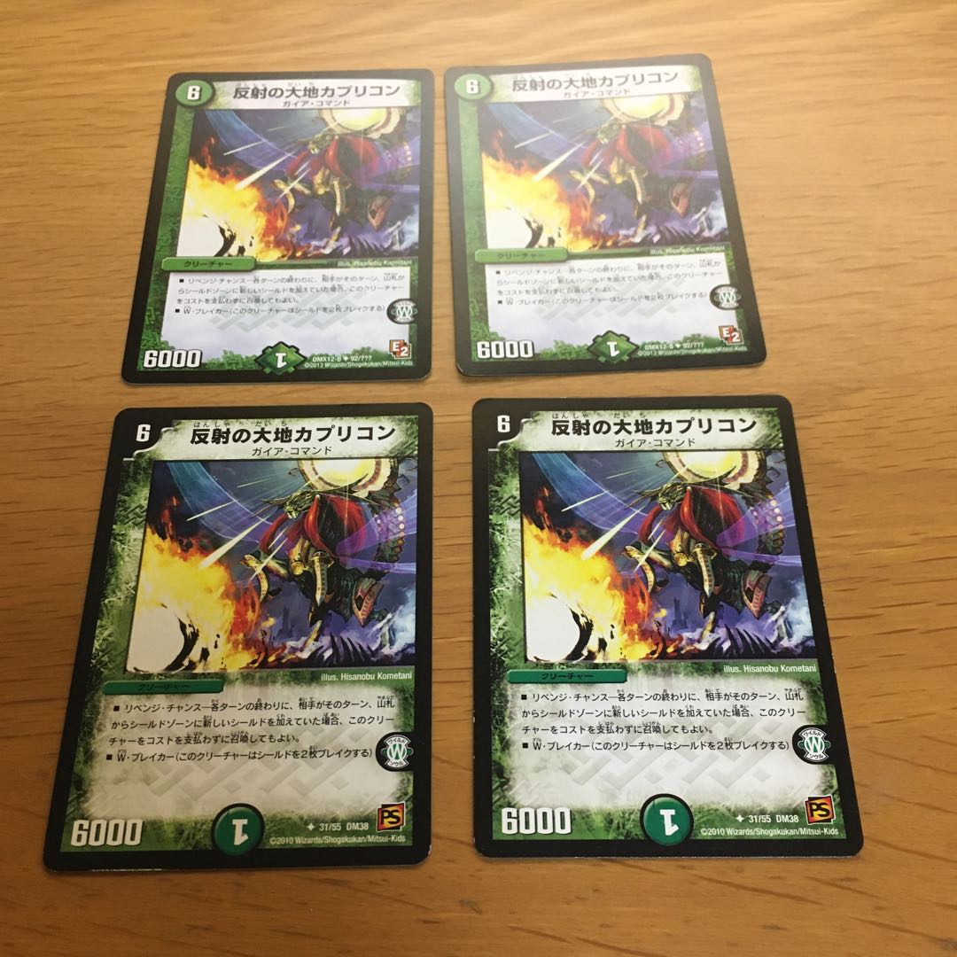 反射の大地カプリコン