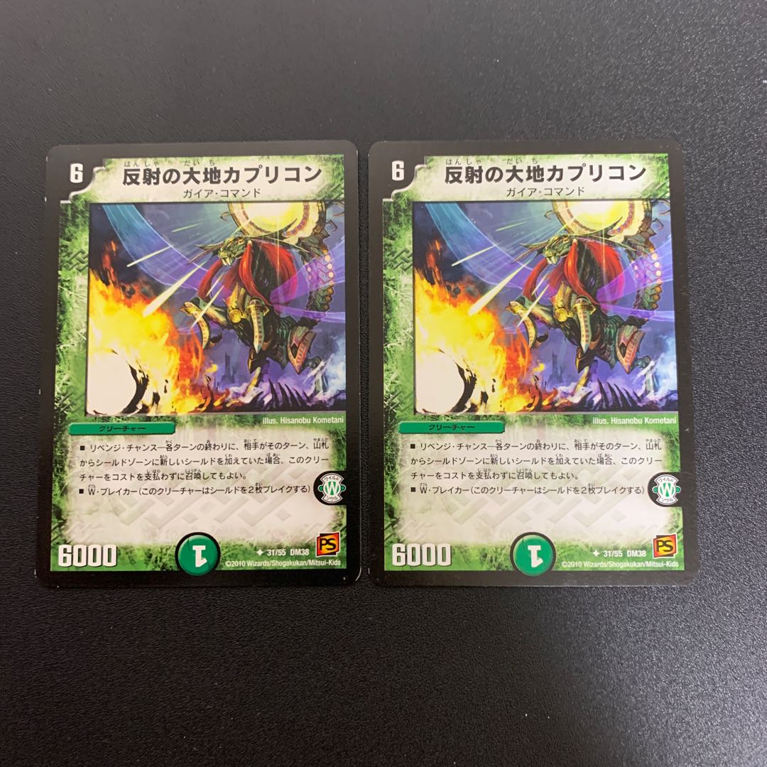 反射の大地カプリコン