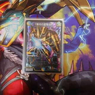 「雷光の聖騎士」