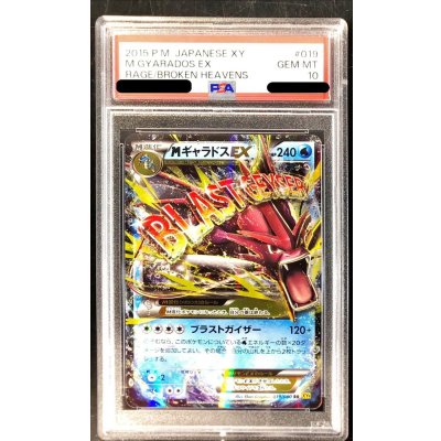 〔PSA10鑑定済〕MギャラドスEX【RR】{019/080} 1枚