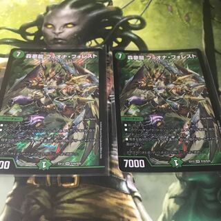 森夢龍 フィオナ・フォレスト　2枚セット