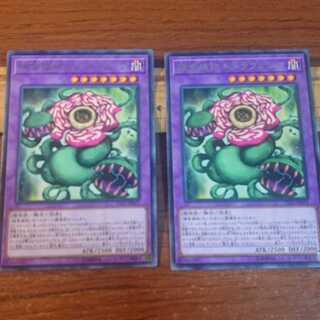 捕食植物キメラフレシア R 2枚