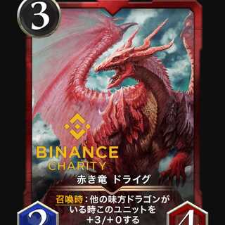 ドライグ２枚セット