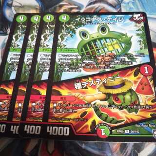 イッコダス・ケイジ｜種デスティニー R