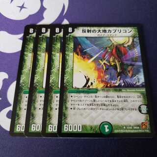 反射の大地カプリコン