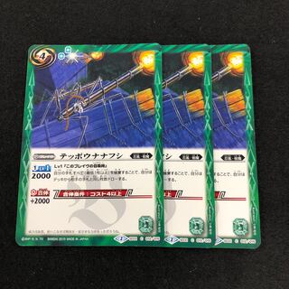 テッポウナナフシ  3枚 3枚