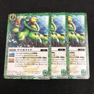 ウツボクイナ 3枚 3枚