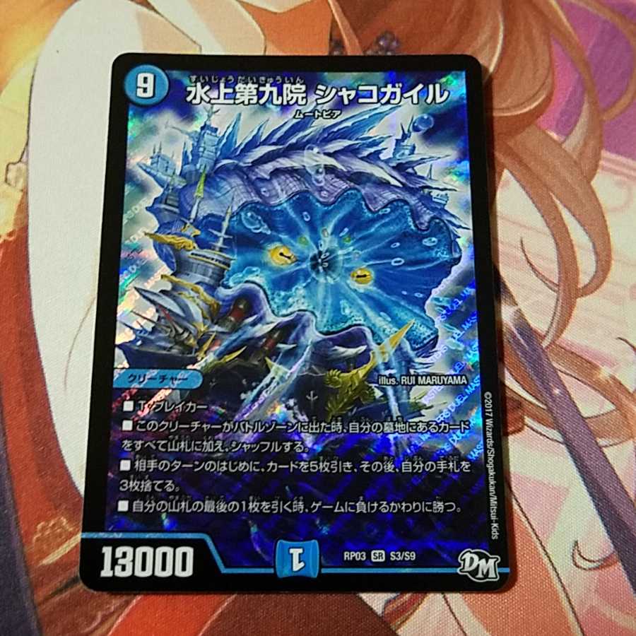 シャコガイル 1枚