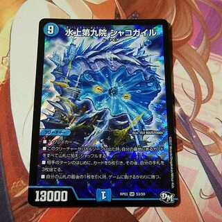 シャコガイル 1枚