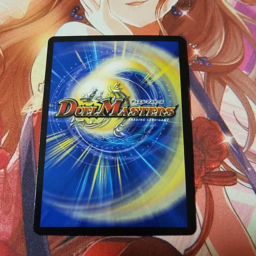 シャコガイル 1枚