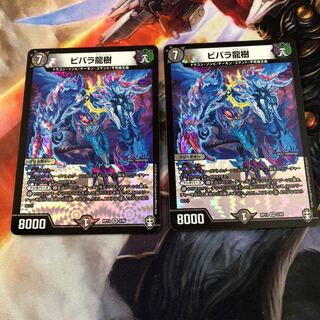 ビバラ龍樹 VR 2枚