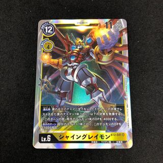 シャイングレイモン