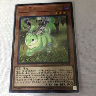 未界域のジャッカロープ