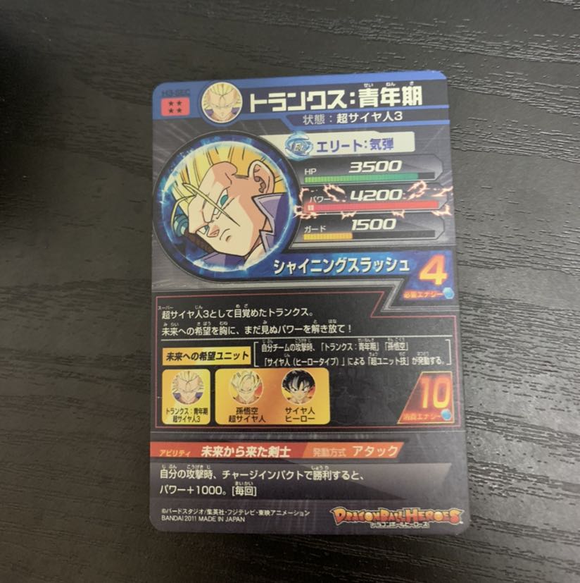 SDBH トランクス:青年期