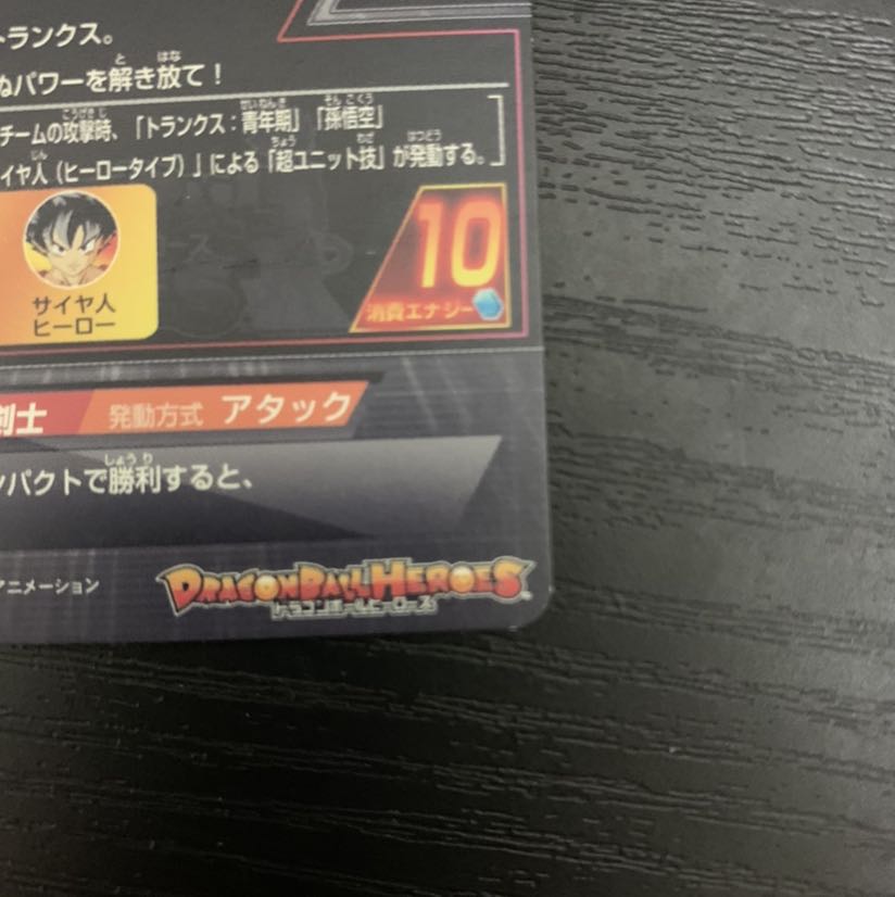 SDBH トランクス:青年期