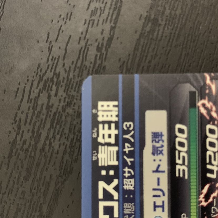 SDBH トランクス:青年期