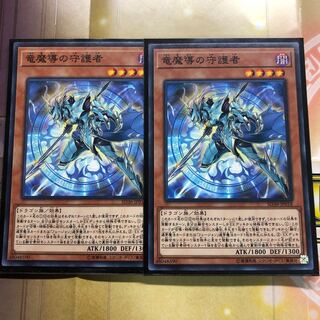 竜魔導の守護者 N  2枚