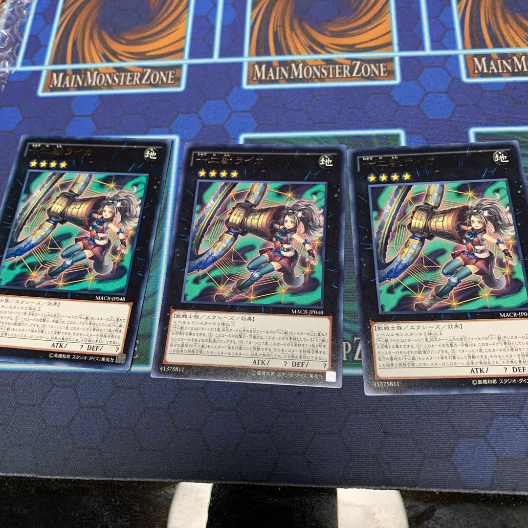 十二獣ライカ R