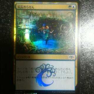 成長のらせん　foil