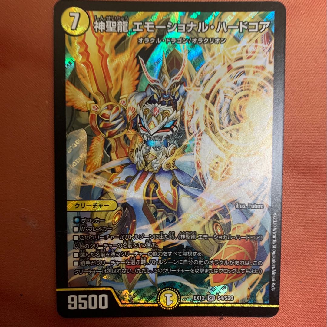 神聖龍 エモーショナル・ハードコア