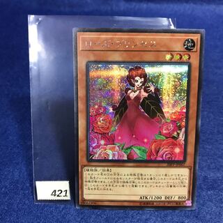 ローズ・プリンセス SE 20PP-JP007