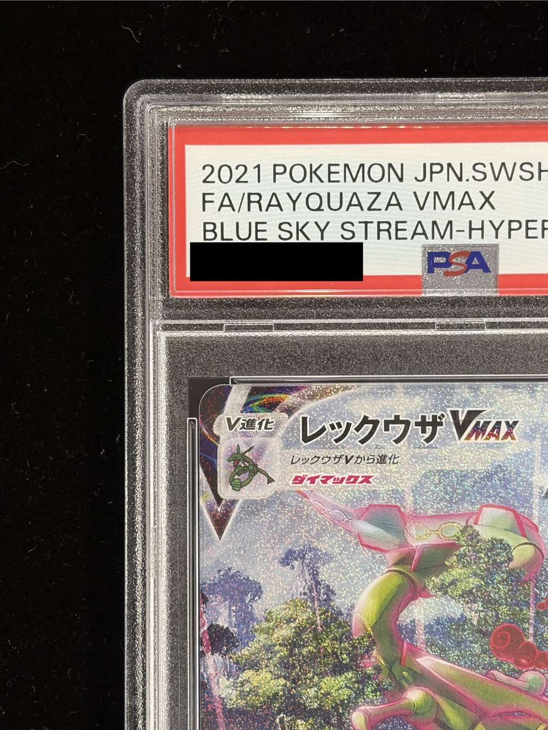 PSA10 Certified] Rayquaza VMAX (SA) [HR] {083/067} 1 (Used