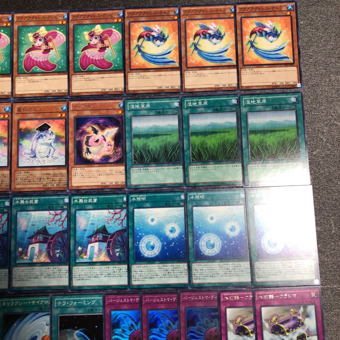 遊戯王 No.165 アクアアクトレス デッキ 40枚＋15枚 バージェストマ