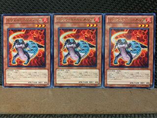 【ぽぽたん】遊戯王 8482 エヴォルド・カシネリア 3枚 レア