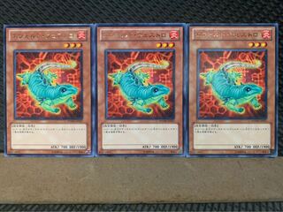 【ぽぽたん】遊戯王 1654 エヴォルド・ウェストロ 3枚 レア