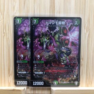 ドマンモ龍樹 SR