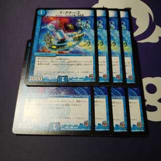 専用 T・アナーゴ マリンフラワー