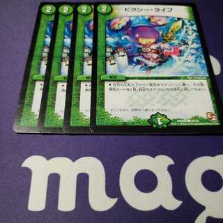 ピクシー・ライフ