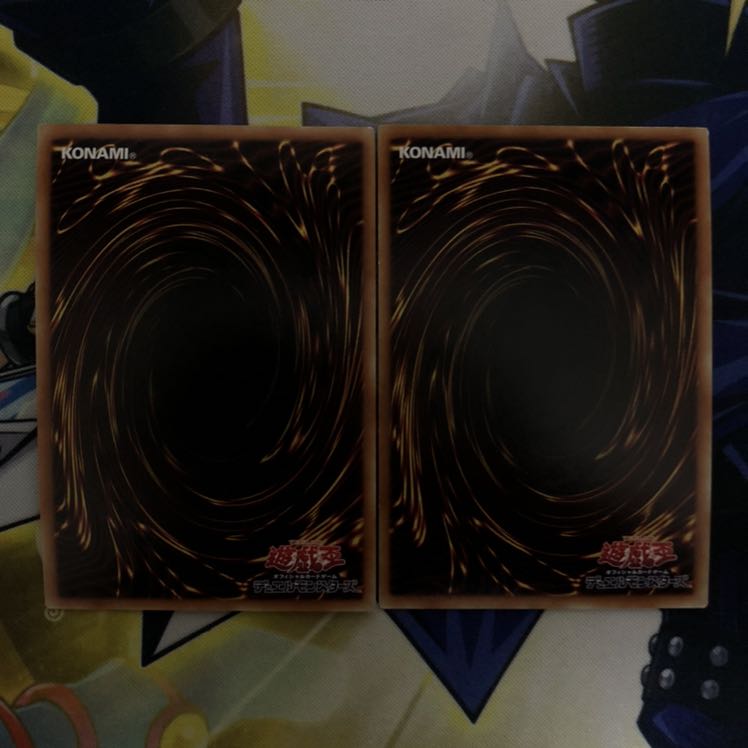 真紅眼の亜黒竜 SE 2枚