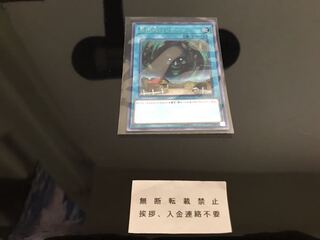 局所的ハリケーン シークレット