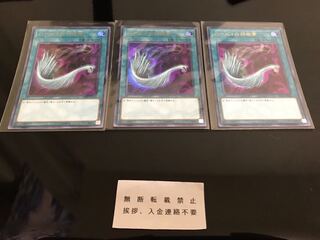 ハーピィの羽根帚 ウルトラ ３枚 型番違い