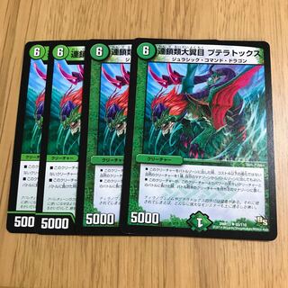 連鎖類大翼目 プテラトックス①